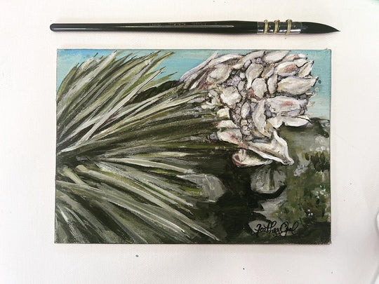 Yucca