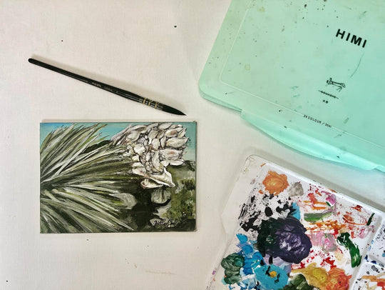 Yucca